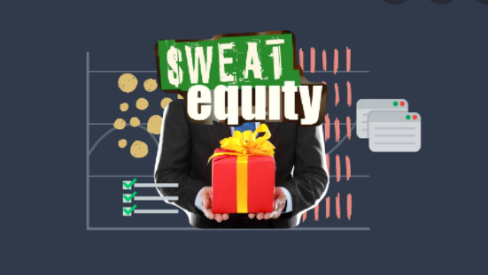 Sweat Equity shares